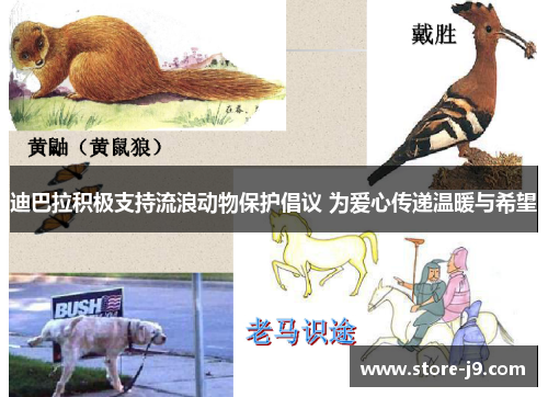 迪巴拉积极支持流浪动物保护倡议 为爱心传递温暖与希望 迪巴拉积极支持流浪动物保护倡议 为爱心传递温暖与希望