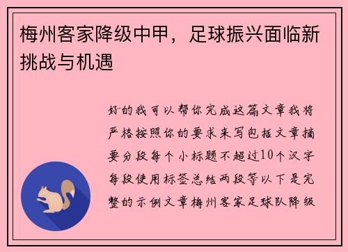 梅州客家降级中甲，足球振兴面临新挑战与机遇